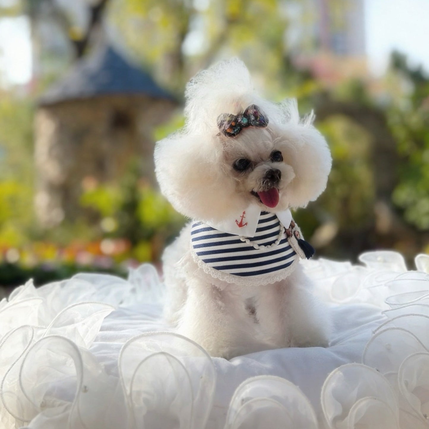 [Pre-order] Deauville | Pet Neckwear