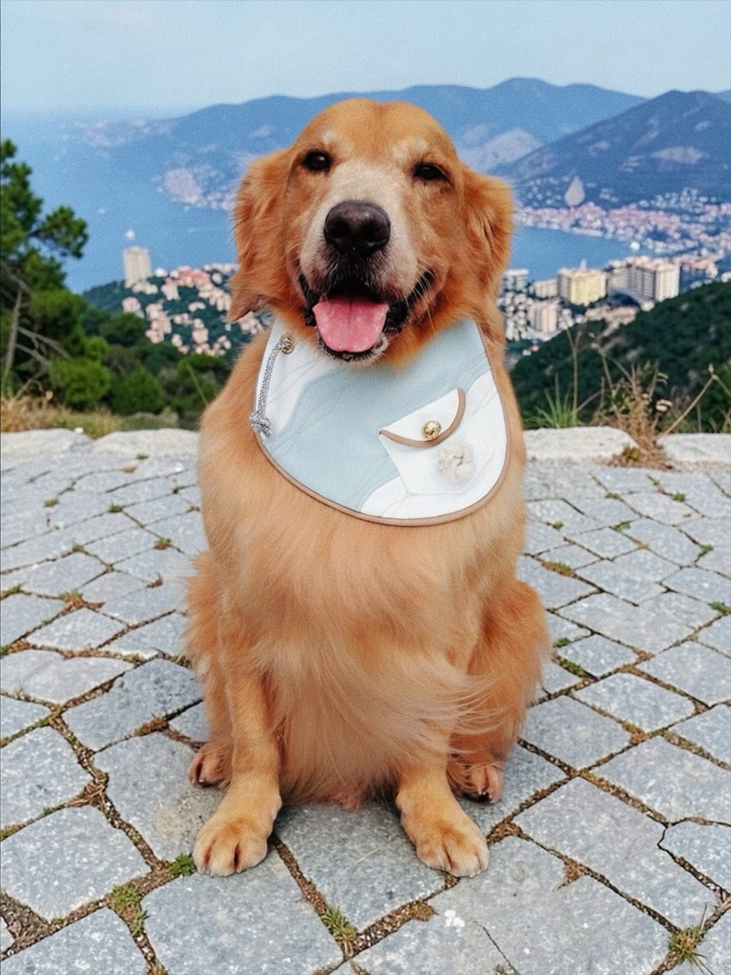 [Pre-order] Antibes (1-Azure Mist) | Pet Neckwear