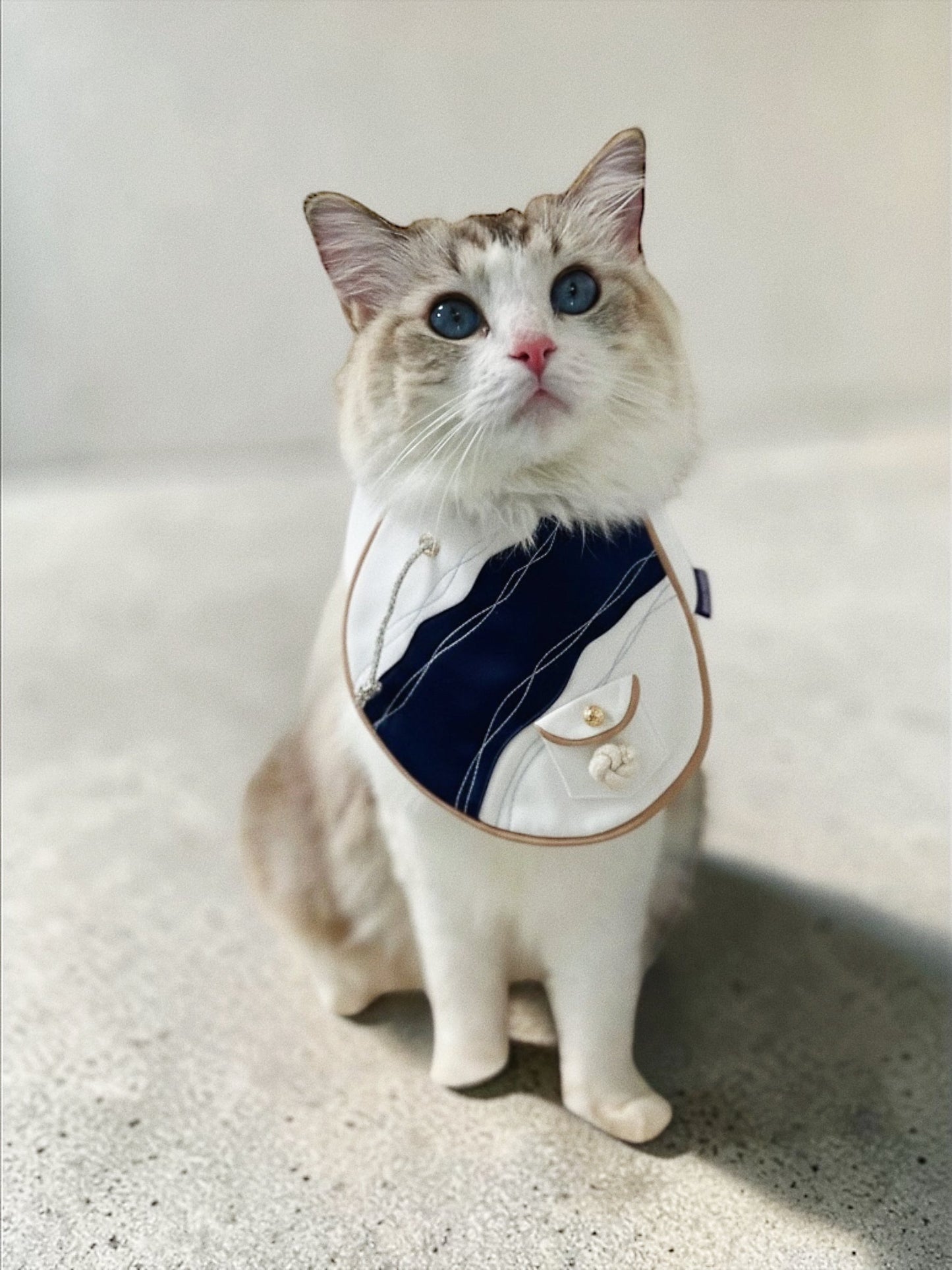 [Pre-order] Antibes (2-French Riveria Blue) | Pet Neckwear