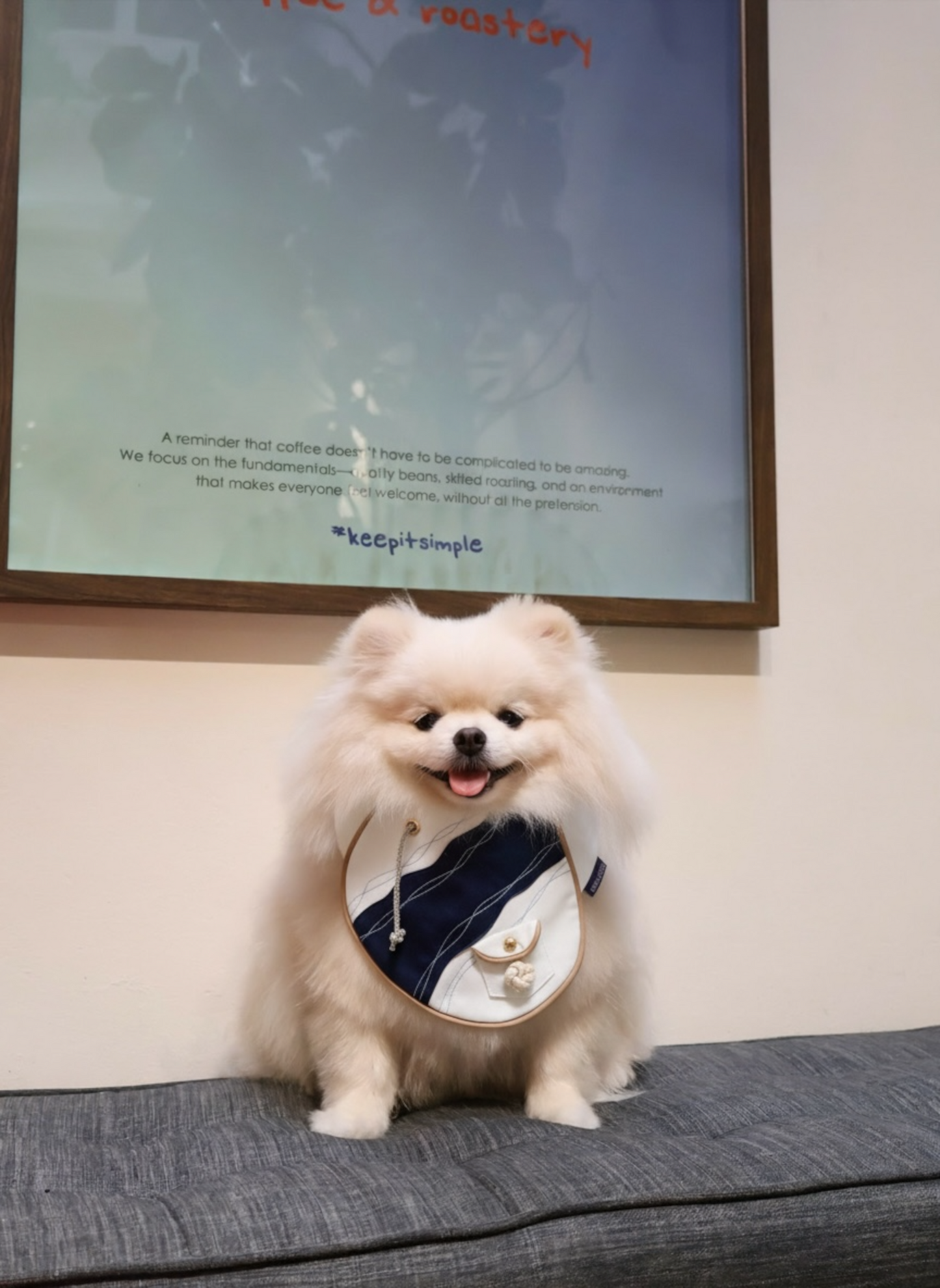 [Pre-order] Antibes (2-French Riveria Blue) | Pet Neckwear