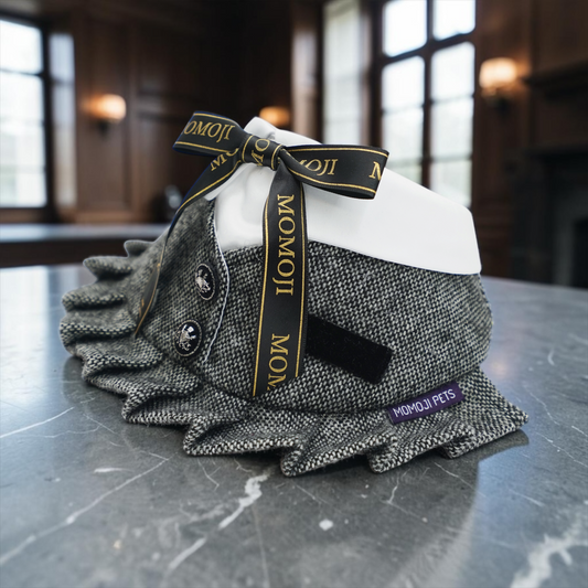 Picadilly (3-Charcoal Black Tweed) | Pet Neckwear