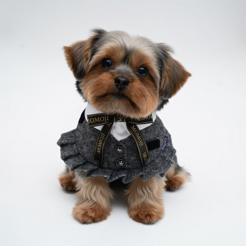 Picadilly (3-Charcoal Black Tweed) | Pet Neckwear