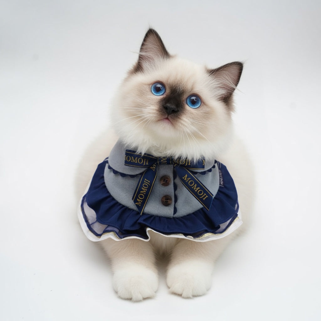 Chelsea (1-Haze Gray & Navy Blue) | Pet Neckwear