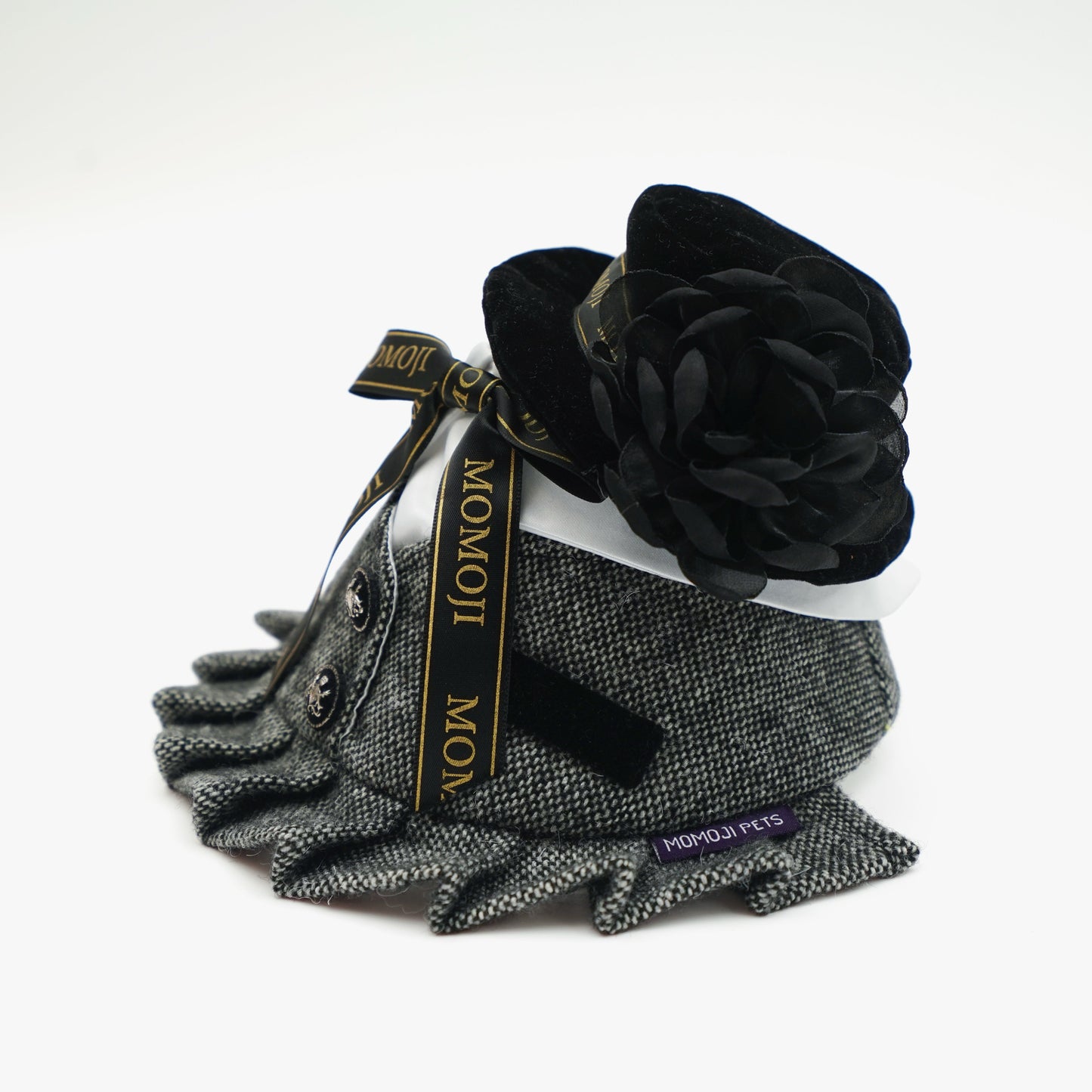 Picadilly (2-Velvet Obsidian Black) | Pet Hat