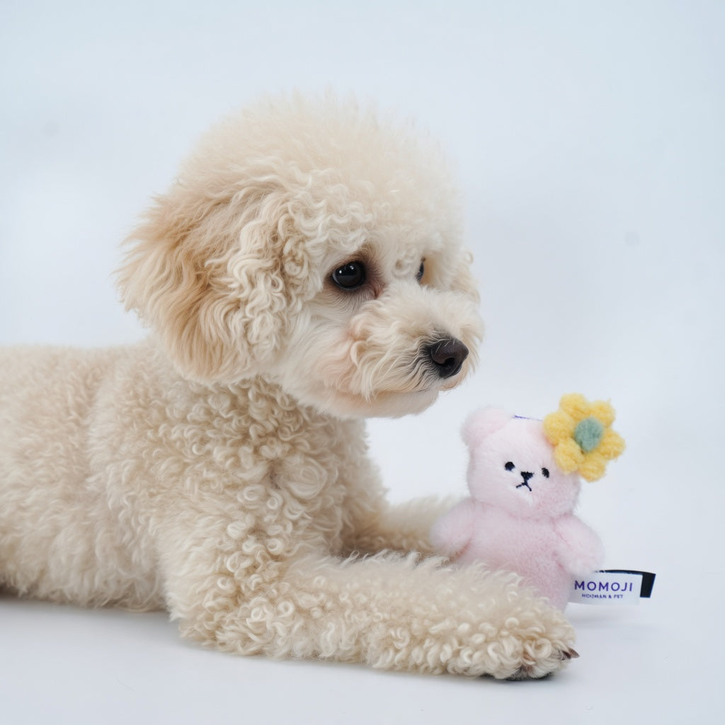 [Pre-order] Momoji Bear Family (1-Pink Bear | Flower Princess) | Pet Plushie