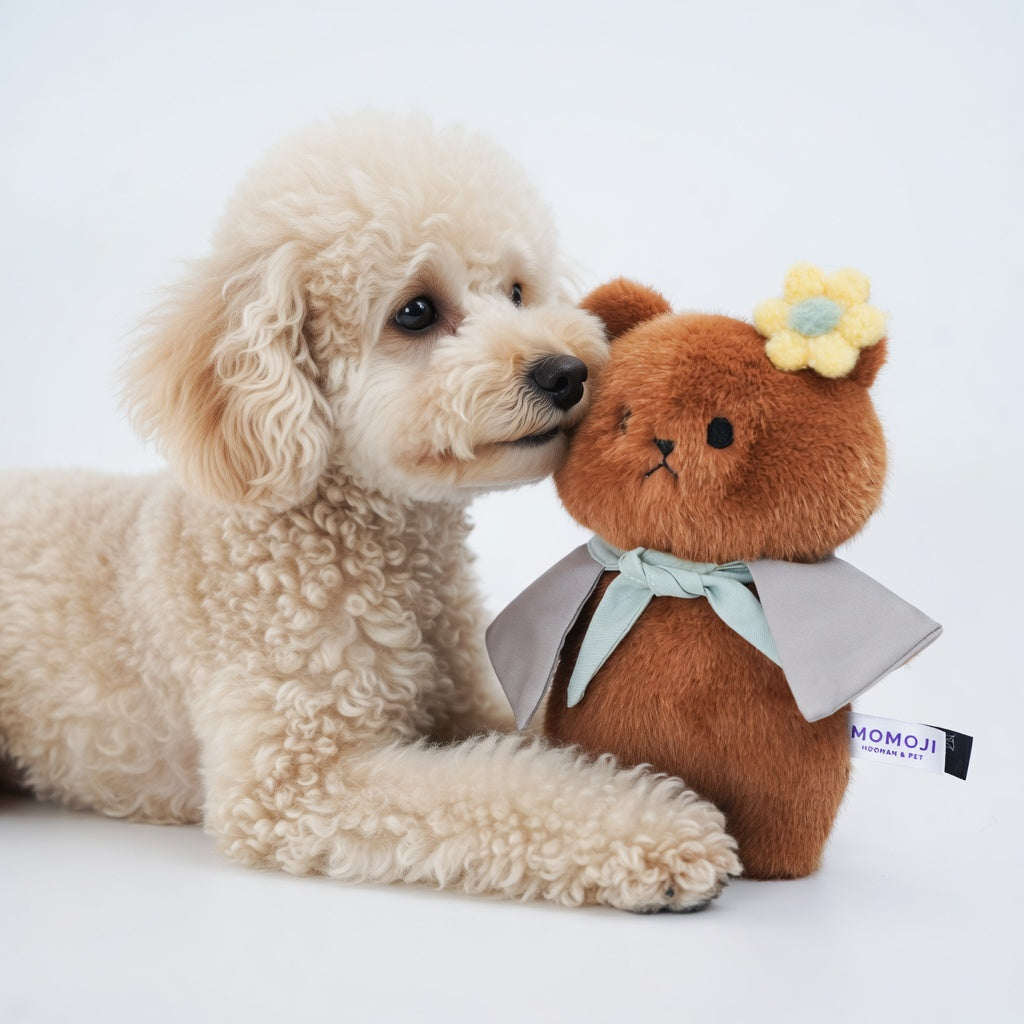 [Pre-order] Momoji Bear Family (2-Brown Bear | Picnic Adventurer) | Pet Plushie