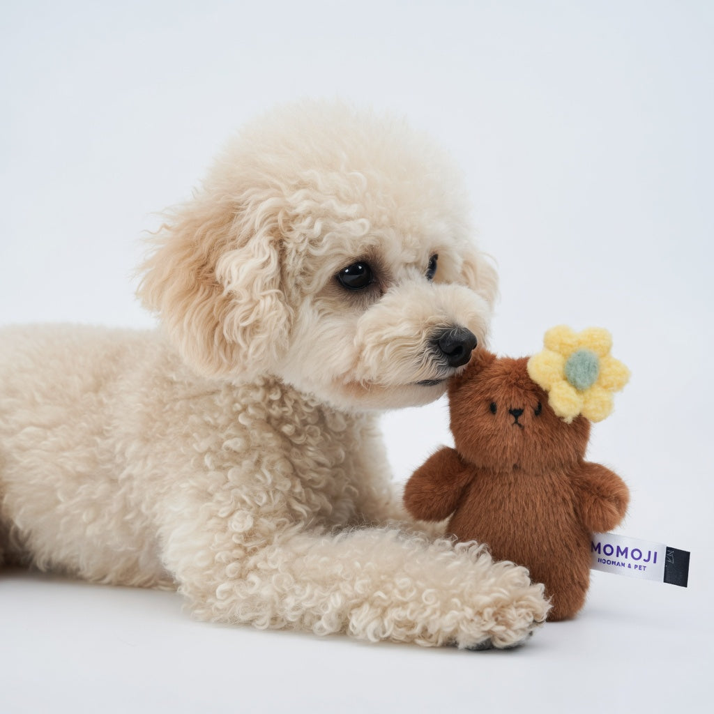 [Pre-order] Momoji Bear Family (2-Brown Bear | Picnic Adventurer) | Pet Plushie