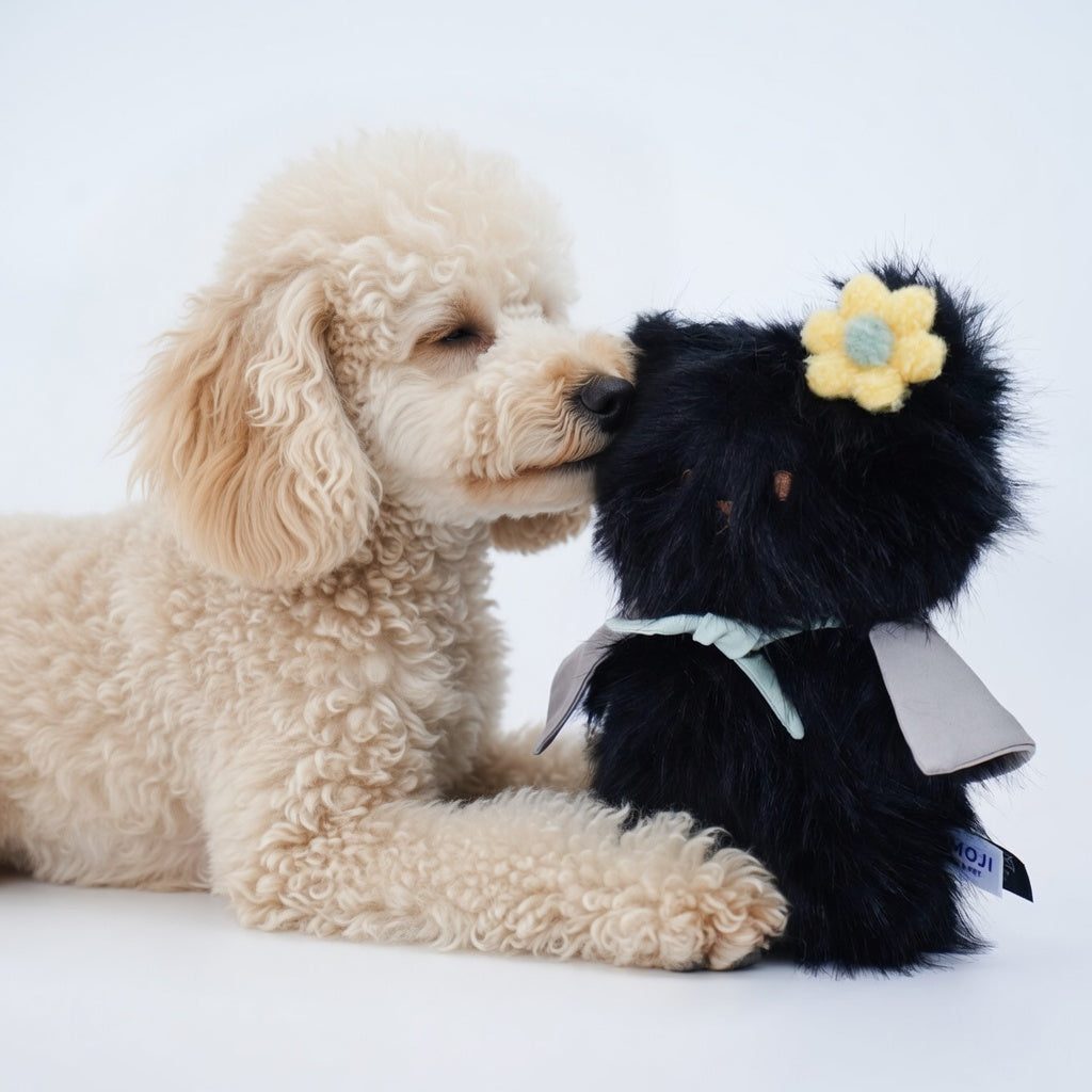 [Pre-order] Momoji Bear Family (3-Black Bear | Forest Friend) | Pet Plushie