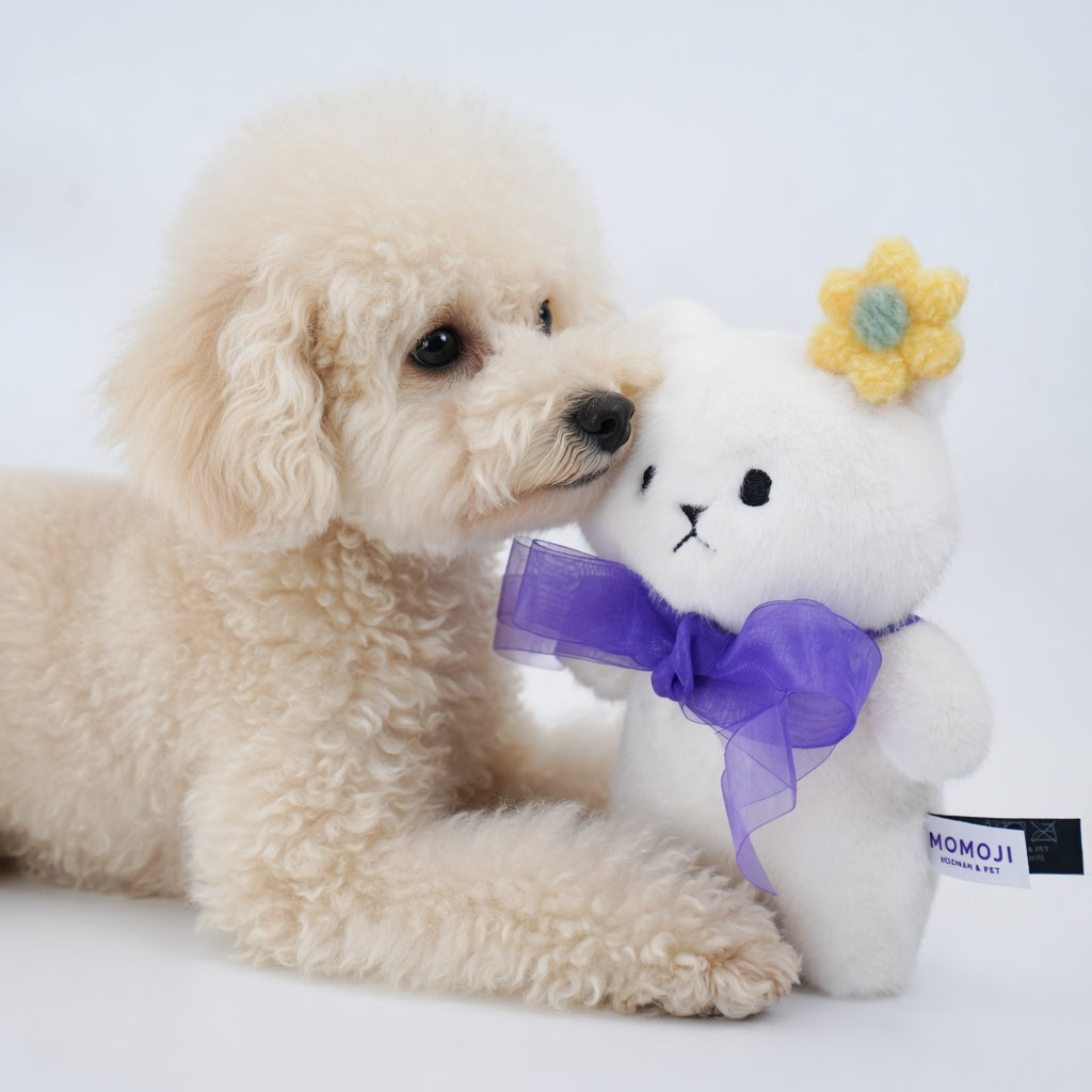[Pre-order] Momoji Bear Family (4-Creamy Bear | Dreamy Cloud) | Pet Plushie