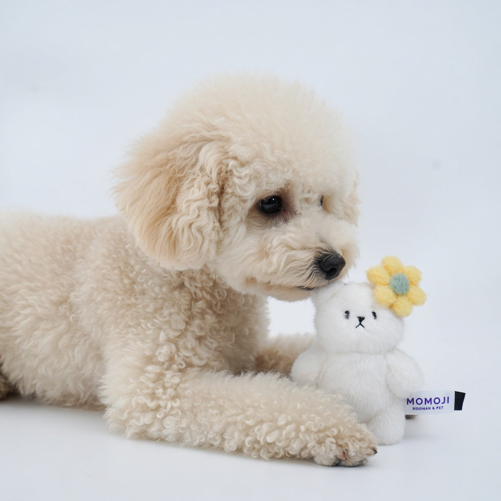 [Pre-order] Momoji Bear Family (4-Creamy Bear | Dreamy Cloud) | Pet Plushie
