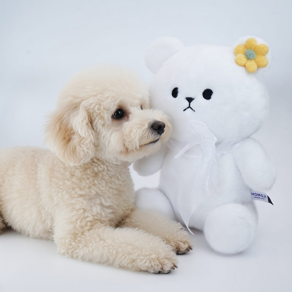 [Pre-order] Momoji Bear Family (5-White Bear | Cloud Dreamer) | Pet Plushie