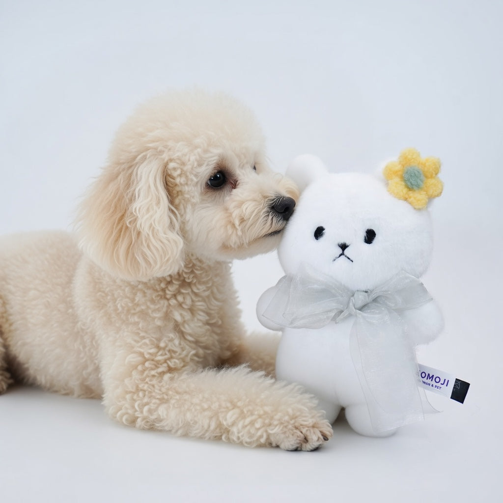 [Pre-order] Momoji Bear Family (5-White Bear | Cloud Dreamer) | Pet Plushie