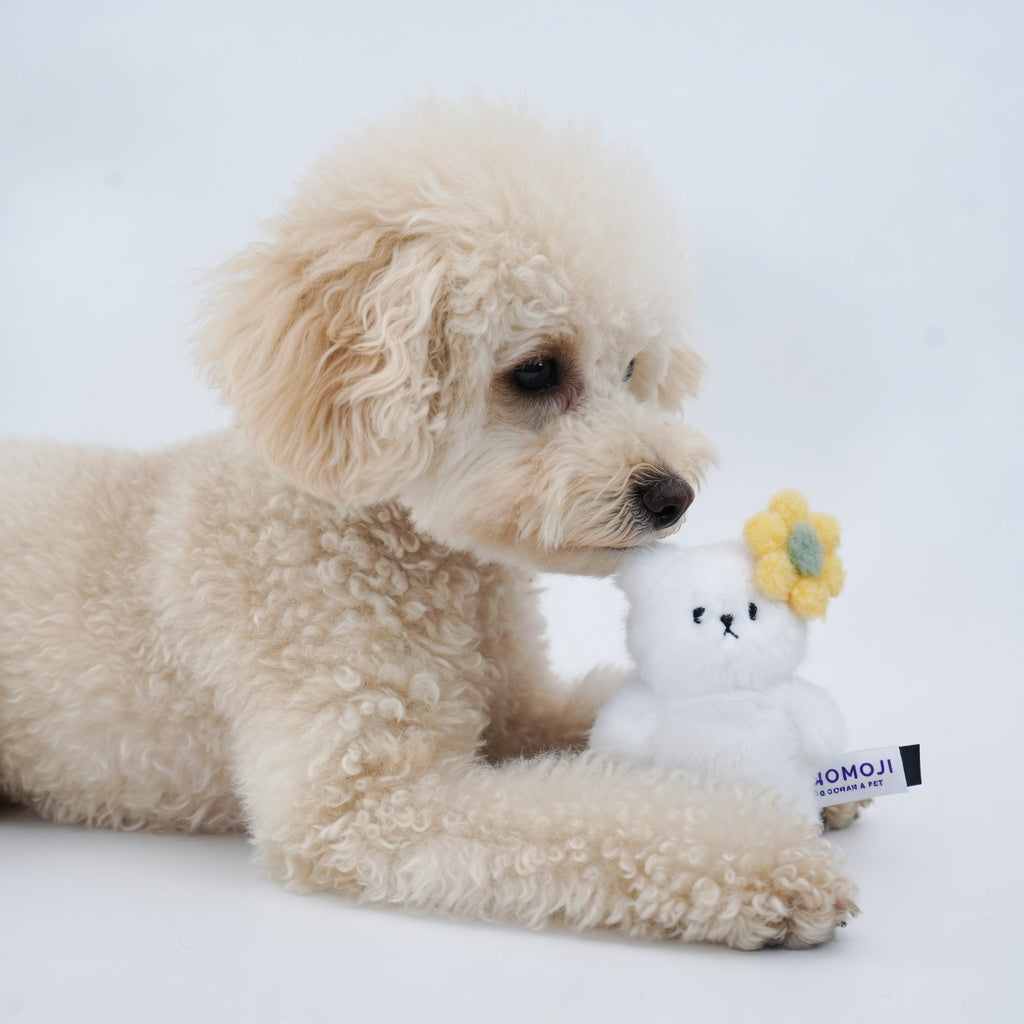 [Pre-order] Momoji Bear Family (5-White Bear | Cloud Dreamer) | Pet Plushie