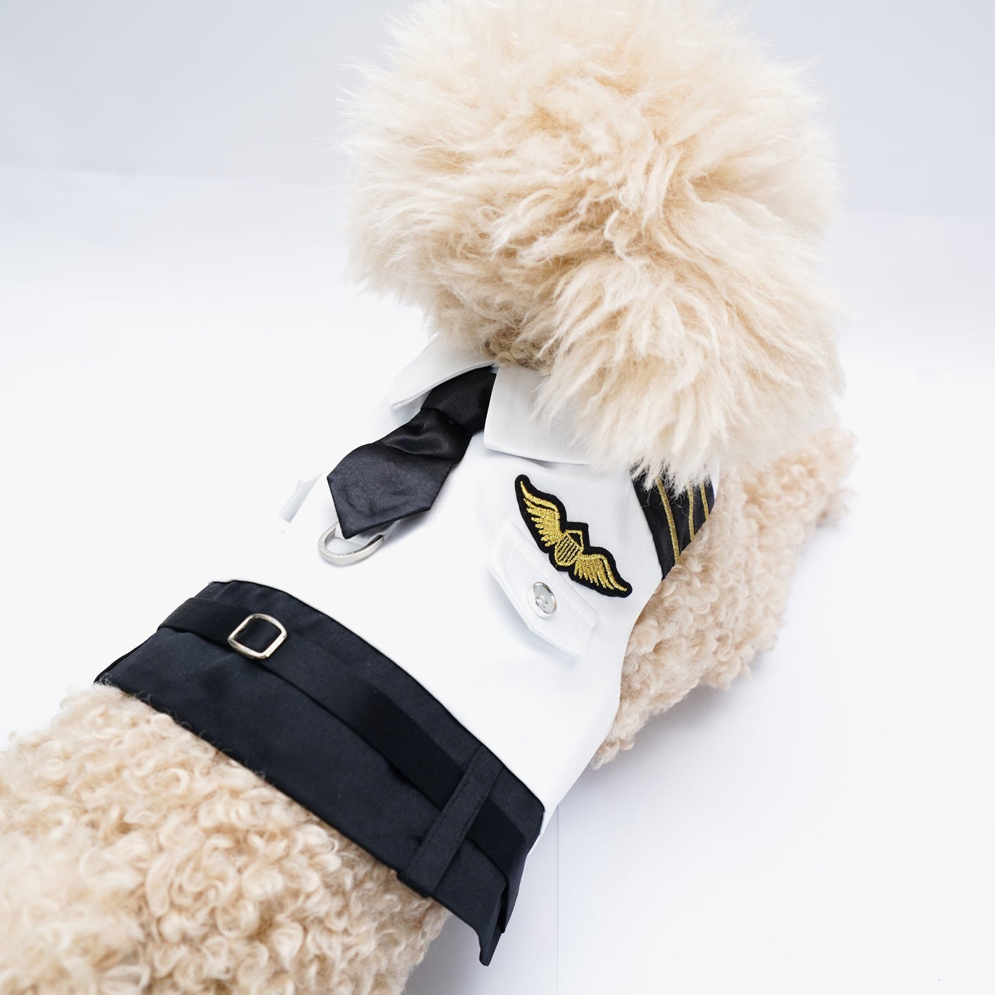 Coolmore I | Pet Vest