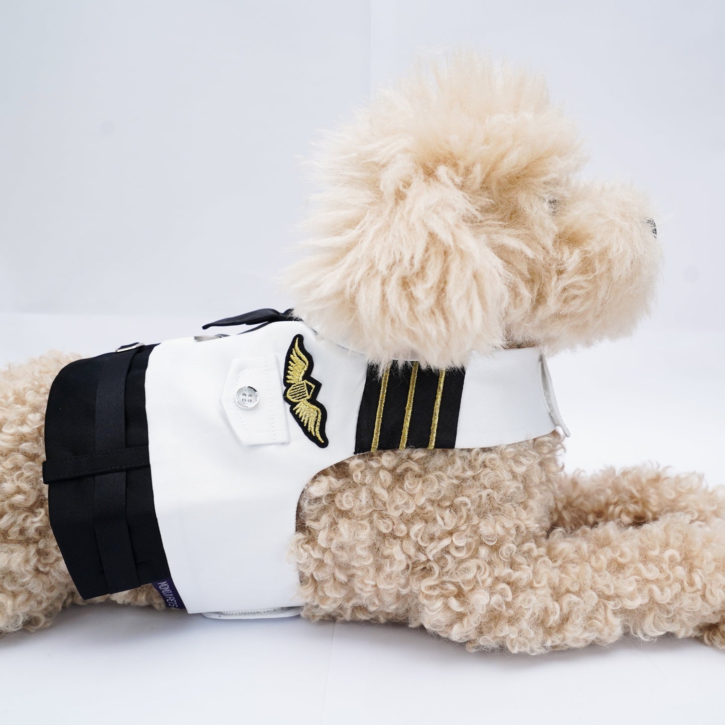 Coolmore I | Pet Vest