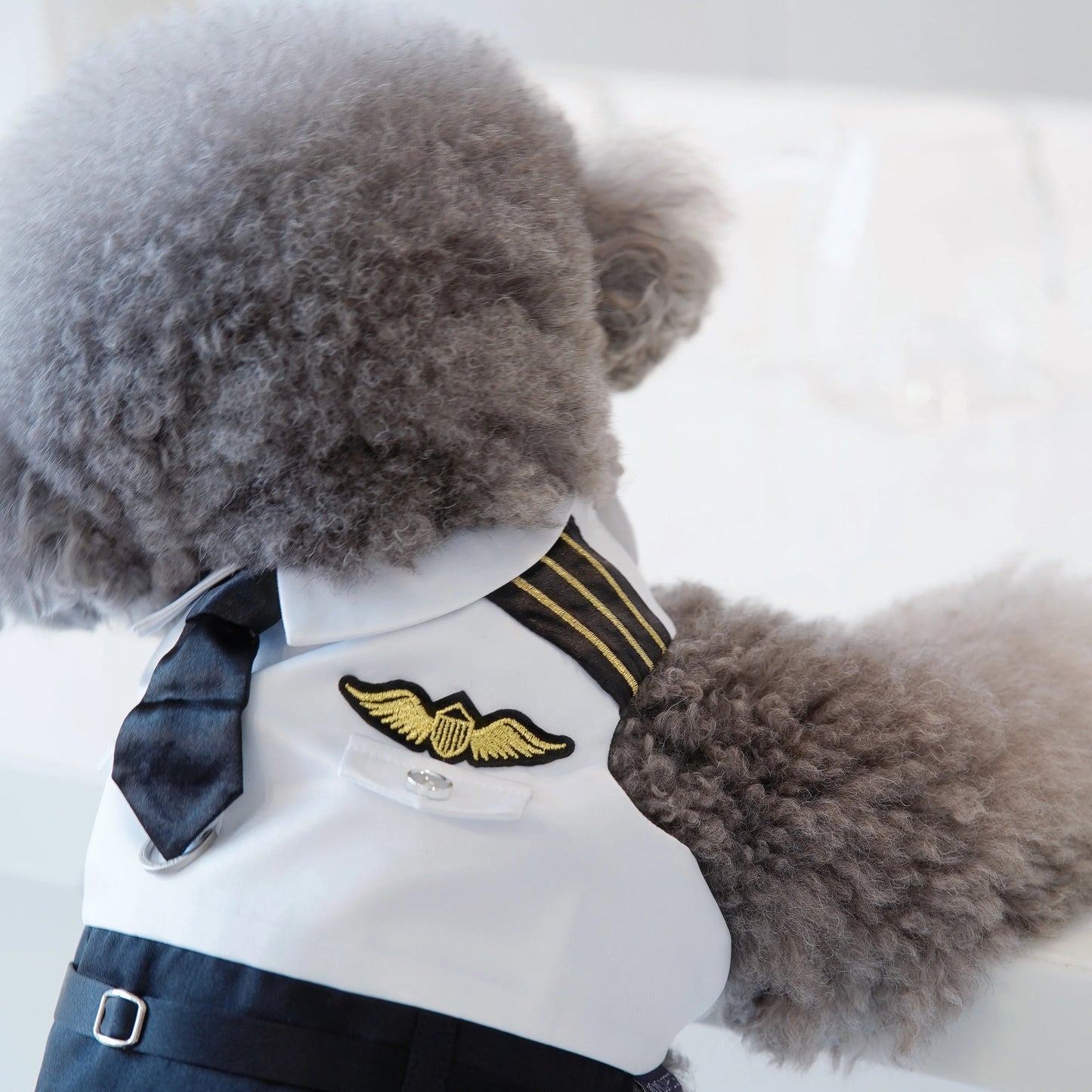 Coolmore I | Pet Vest