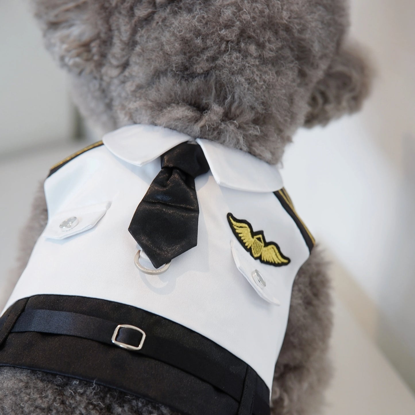 Coolmore I | Pet Vest