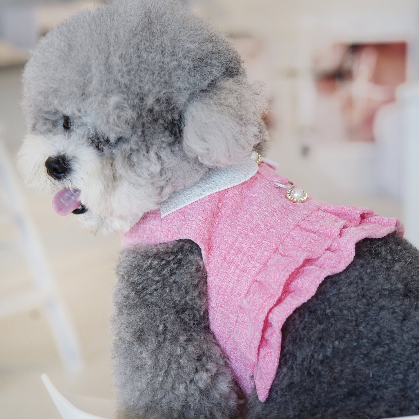 ***Pre-Order*** Kristen | Pet Vest