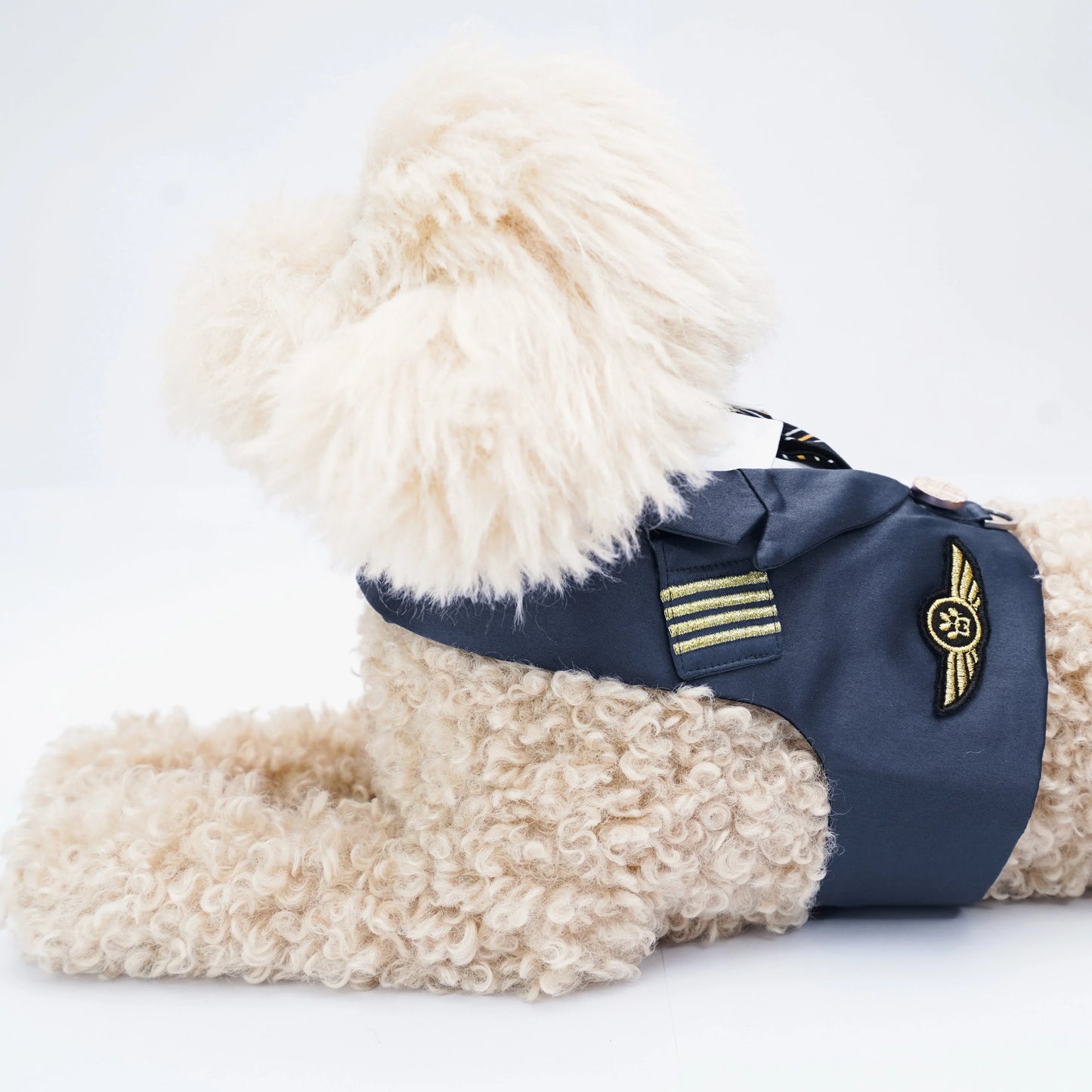 Coolmore II | Pet Vest