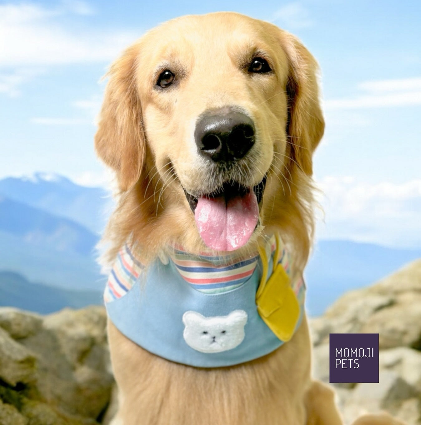 Bear Boys | Pet Neckwear