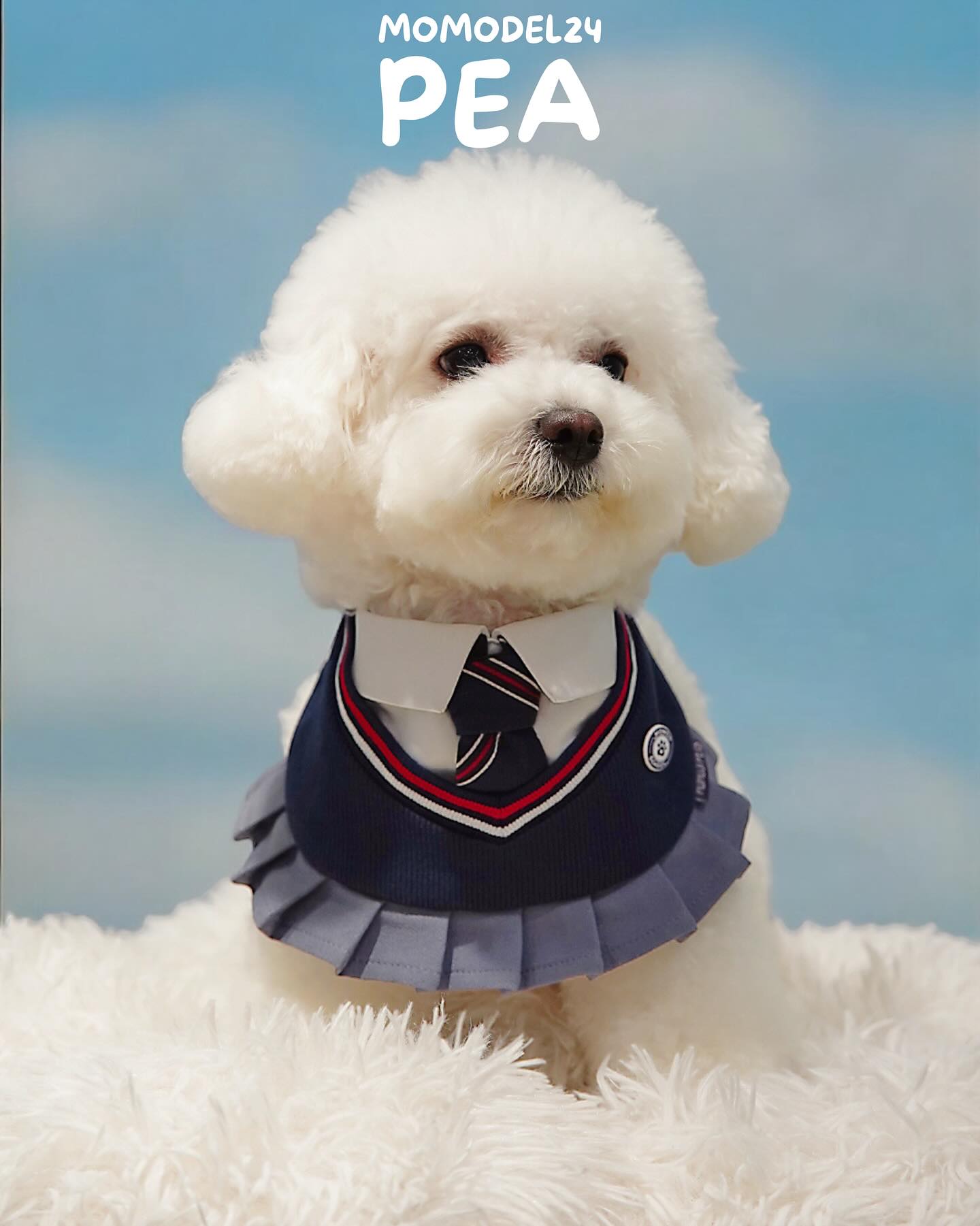 Stephy | Pet Neckwear