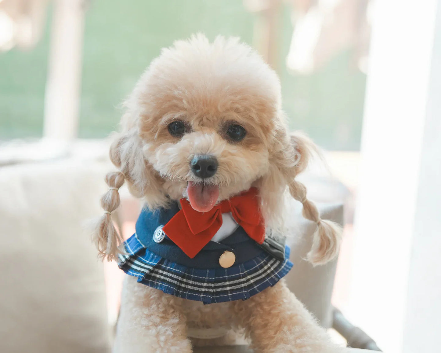 Morrison Hill Girls | Pet Neckwear