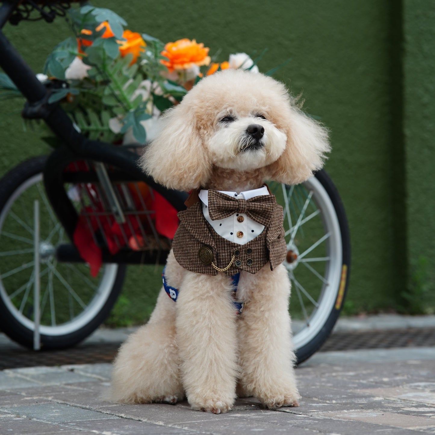 Bond (1-Coffee Houndstooth) | Pet Neckwear