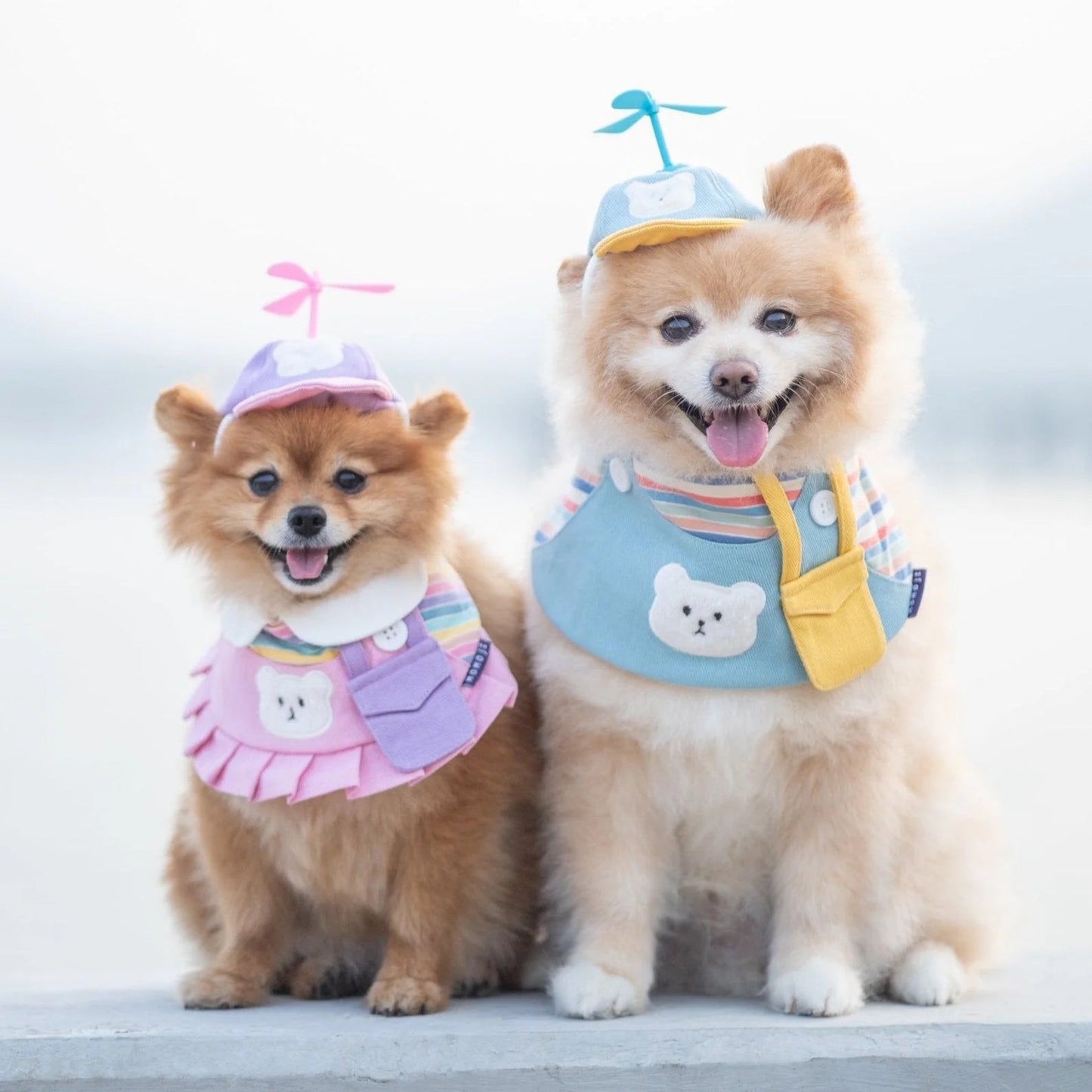 Bear Boys | Pet Neckwear