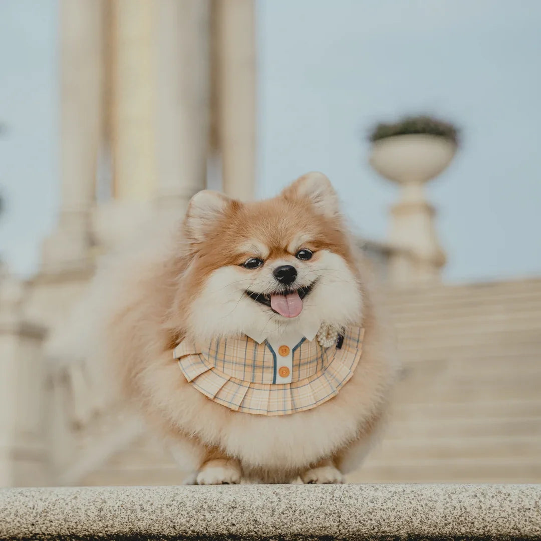 Gill | Pet Neckwear