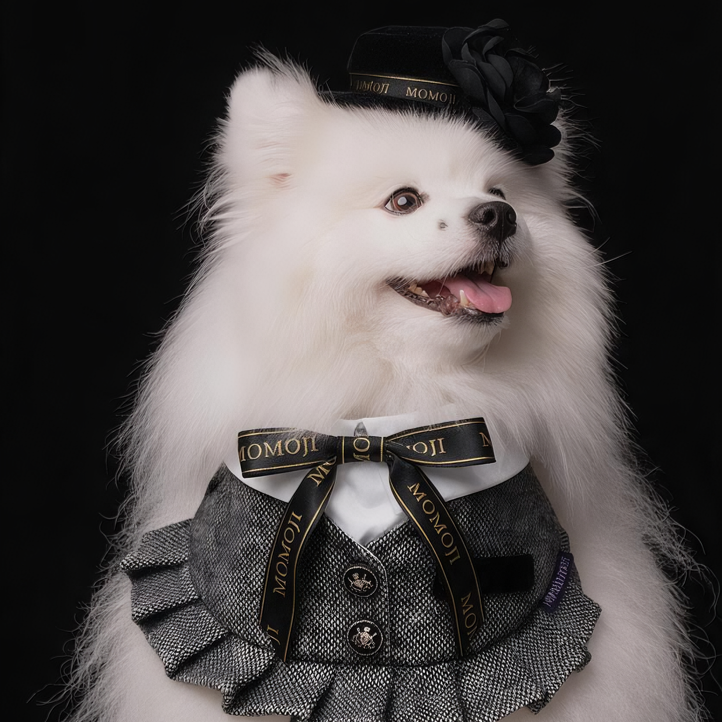 Picadilly (3-Charcoal Black Tweed) | Pet Neckwear
